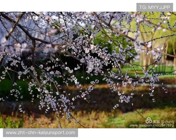 学习新语｜从新疆70年的变迁看多元叙事